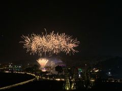-大塘金香草谷