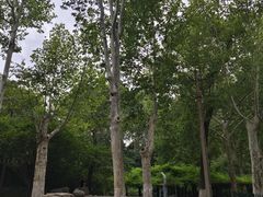 -西安市长乐公园