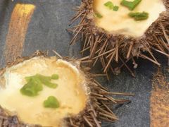 -海胆小馆(东北水饺·春柳店)