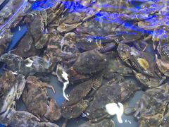 -澜悦港海鲜体验主题餐厅