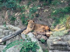 -大连森林动物园