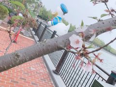 -迪士尼小镇