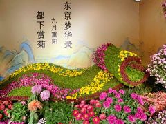 -杭州植物园