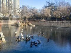 -贮水山儿童公园