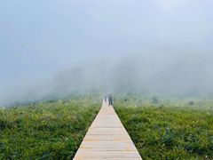 -白草畔自然风景区