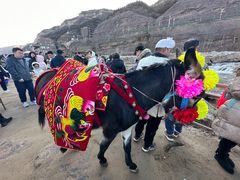 -陕西黄河壶口瀑布旅游区