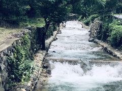 -东天目山风景区
