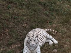 -石家庄市动物园