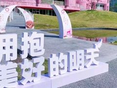 -杭州观成实验学校