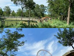 -石家庄市动物园