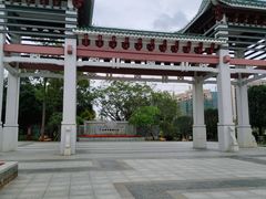-王借岗森林公园