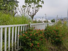 -大渡口区义渡公园