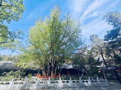 -潭柘寺景区