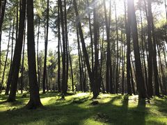 -硗碛藏寨·神木垒景区