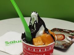 -Salud撒露欧洲冻酸奶(五道口购物中心店)