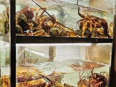 -甄御•海鲜新青岛菜(麦岛店)