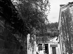 -东钱湖旅游度假区