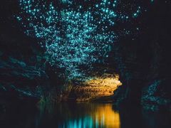 -怀托摩萤火虫洞