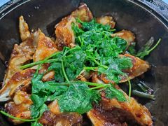 -石岐乳鸽村(南海第三分店)