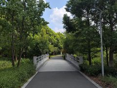 -昆山城市生态森林公园