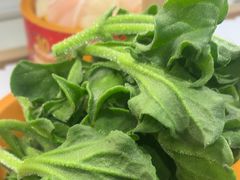 -龍歌自助小火锅(城阳万象汇店)