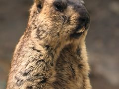 -北戴河集发农业梦想王国