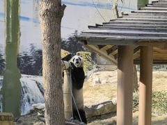 -栾川竹海野生动物园