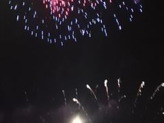 -中国马镇舞马世界主题乐园
