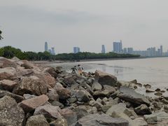 -深圳湾公园(南山区)
