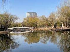 -青城公园
