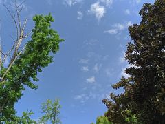 -苏州河梦清园环保主题公园