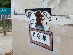-趣玩宠物乐园寄养训犬训狗游泳池