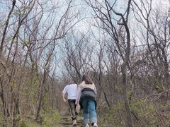 -黄陂区野村谷景区