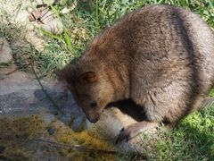 -费瑟代尔野生动物园