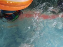 -南宫温泉水世界