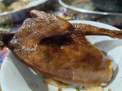 -石岐乳鸽村(南海第三分店)