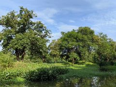 -西溪国家湿地公园