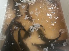 -都江堰石锅鱼