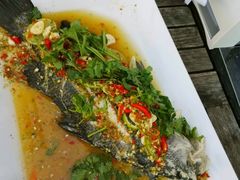-Daddy Nimman Chiang Mai