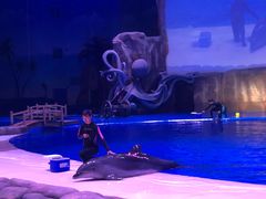 -华夏文旅海洋公园