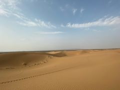 -国强手抓(西夏区店)