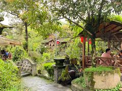 -青城甲(青城山店)