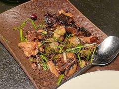 -浩运·海鲜青岛菜·海胆水饺(石老人店)