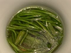 -觀芷隐轩