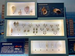 -舟山博物馆