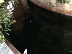 -侠成水上农庄(工业大道店)