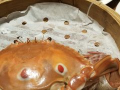 -马哥孛罗咖啡厅·Cafe Marco (厦门马哥孛罗东方大酒店)