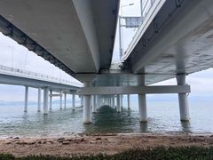 -深圳湾公园(南山区)