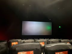 -新影联·华谊兄弟影院(望京店)