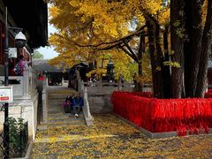-红螺寺